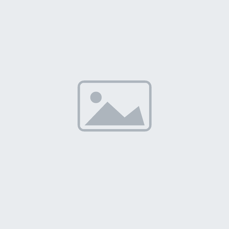 placeholder placeholder